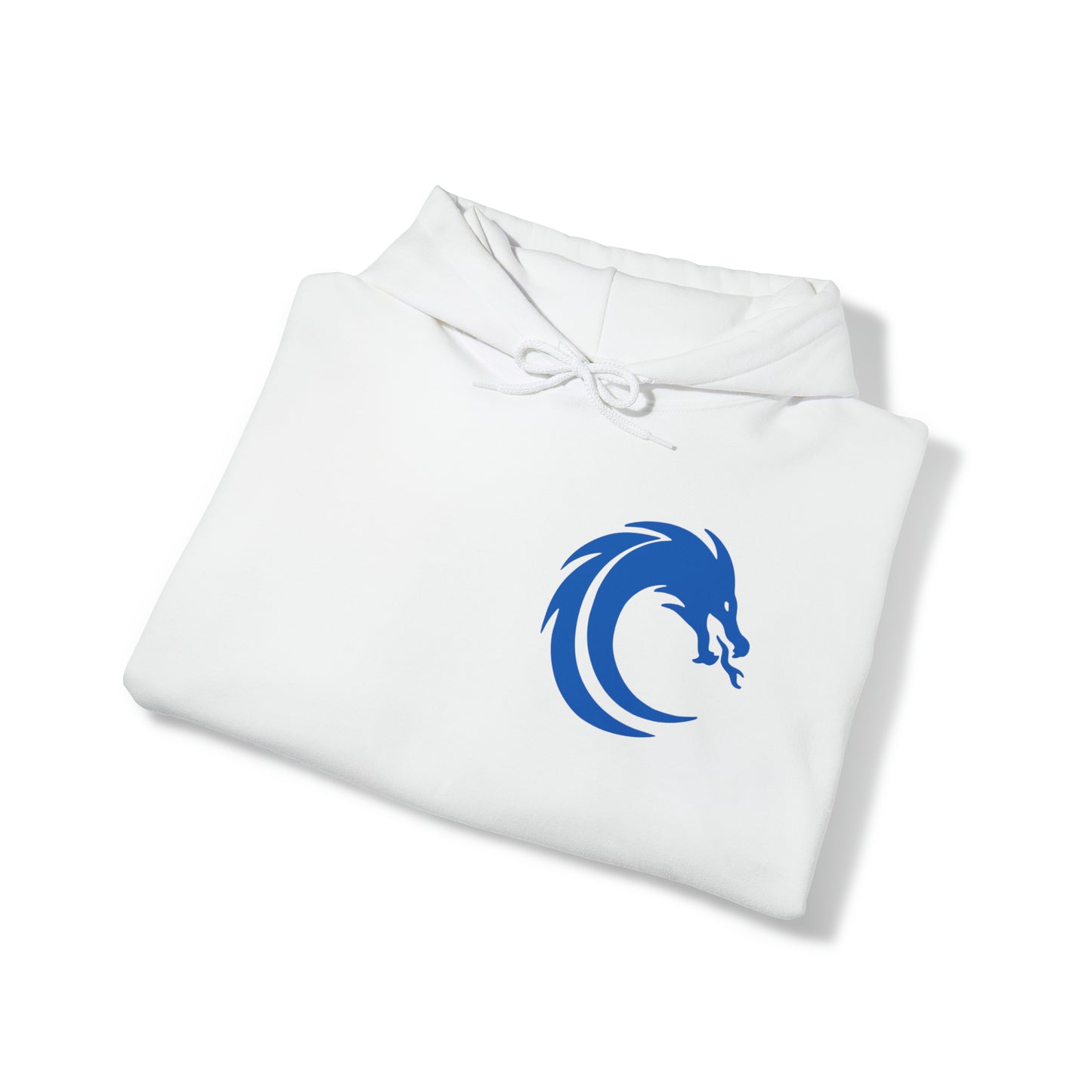 Arctic Classic Hoodie